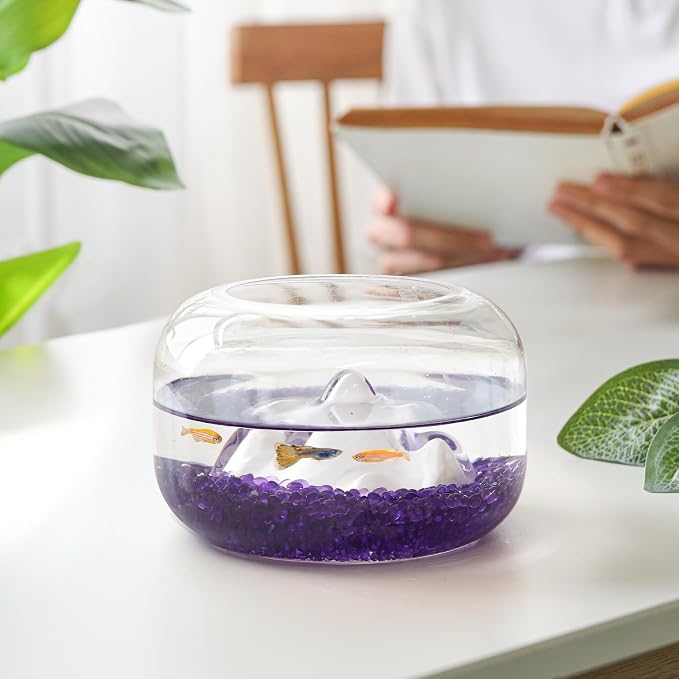 T4U Aquarium Gravel Rocks, succulent top dressing, vase filler, terrariums and - Image 2