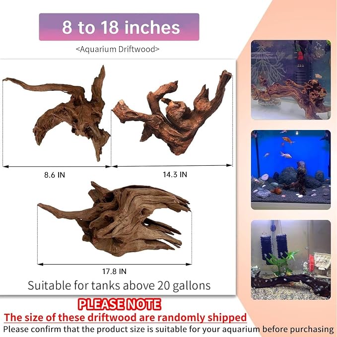 Hamiledyi 2 Pcs Large Driftwood - Image 3