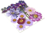 Purple Dried Pressed Flowers Real Natural Petals Bulk - Image 7