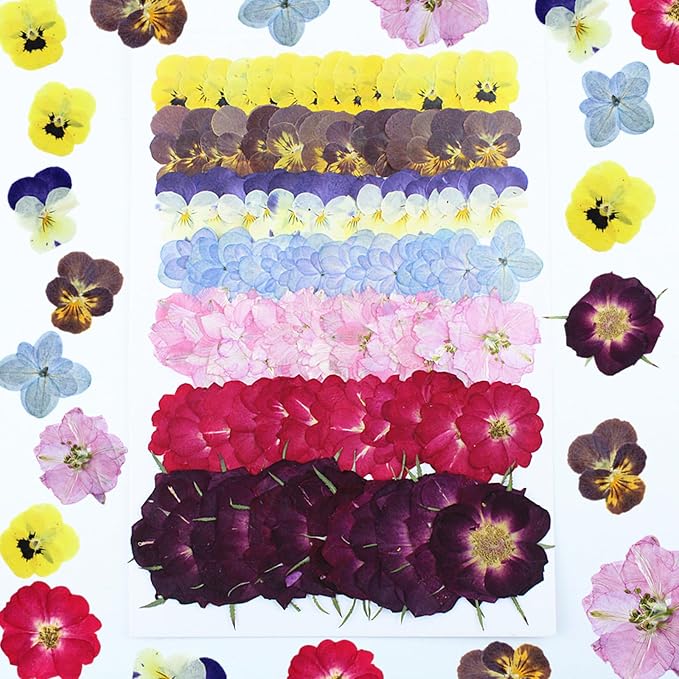 49 Pcs Dried Pressed Flowers for Crafts Art Resin DIY Natural Dry Pansy Rose - Image 2