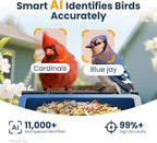 Smart Metal Bird Feeder with Camera, Light Blue | Squirrel Proof, 2.5K UHD AI - Image 4