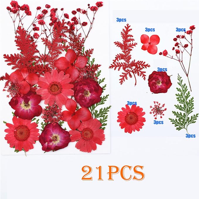 Woohome 126PCS Real Pressed Flowers, Dried Pressed Flowers Colorful Real - Image 5