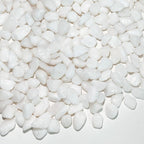 FANTIAN White Pebbles for Indoor Plants, 3/8 Inch Decorative White Stones. by FANTIAN-GardeningMakesLifeBetter