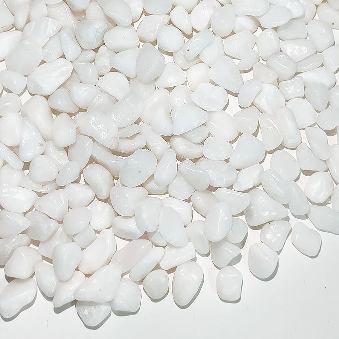 FANTIAN 10 lbs White Pebbles for Indoor Plants, 3/8 Inch Decorative White by FANTIAN-GardeningMakesLifeBetter