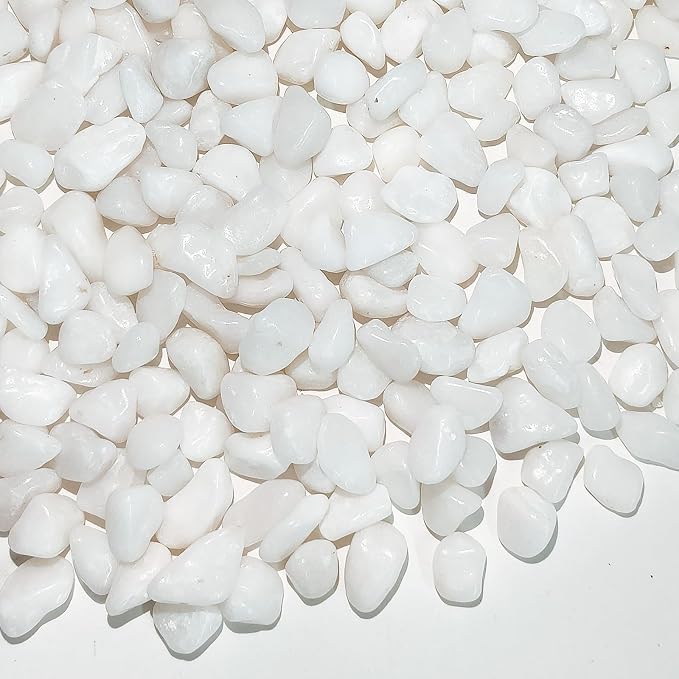 FANTIAN 5 lbs White Pebbles for Indoor Plants, 3/8 Inch Decorative White Gravel by FANTIAN-GardeningMakesLifeBetter