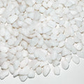 FANTIAN 2 Pounds White Pebbles for Indoor Plants, 3/8 Inch Polished White Rocks by FANTIAN-GardeningMakesLifeBetter