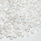 FANTIAN 2 Pounds White Pebbles for Indoor Plants, 3/8 Inch Polished White Rocks by FANTIAN-GardeningMakesLifeBetter