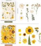 330PCS Natural Color Pressed Dried Flowers - Image 5