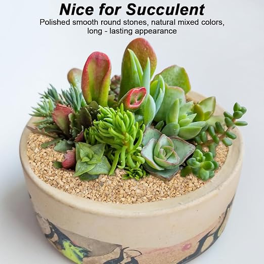 Succulent and Cactus Gravel Pebbles, Landscaping Pebbles, River Rocks, Garden - Image 5