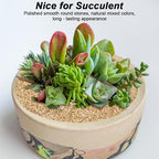 Succulent and Cactus Gravel Pebbles, Landscaping Pebbles, River Rocks, Garden - Image 5