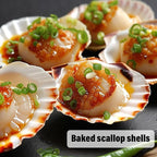 6PCS Scallop Shells 4‘’-4.5" Natural Sea Shells Yellow & Pink Hawaiian Scallop - Image 4