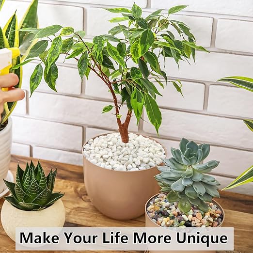 YISZM 2LB Succulent and Cactus Black Pebbles, 3/8 Inch Natural Decorative - Image 7
