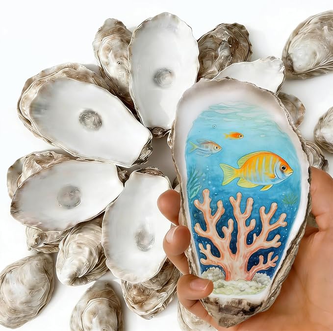 20Pcs 4-5 Inch Large Natural Oyster Shells by Unknown