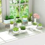 NIUBEE Acrylic Display Riser, Collectibles Display Stands Shelf - Image 4