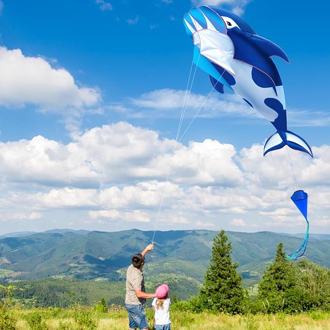 HENGDA KITE 3D Kite for Kids and Adults, Excellent Fabric and Structure - Image 4