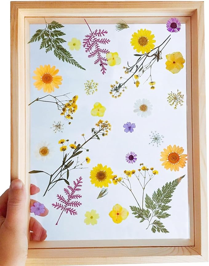 Woohome 200 PCS Natural Dried Pressed Flowers and Natural Dried Pressed Leaves - Image 7
