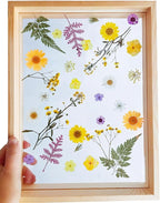 Woohome 160PCS Real Pressed Flowers, Dried Pressed Flowers Colorful Real - Image 9