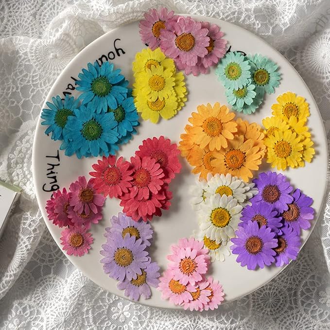 50pcs Natural Dried Daisy Flower, Vacuum Packaging, Pressed Flower - Image 4