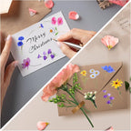 Transparent Pressed Flower Stickers 320 PCS-Dried Resin Leaves- Floral - Image 5