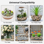 Decorative Rocks for Potted Plants, Virekm River Rocks, Decorative Ornamental - Image 7