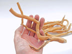 Azil Natural Driftwood Root Mix – 100% Natural Driftwood - Image 4