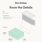BLUE GINKGO Hive Pen Desk Organizer, Made in Korea | 6 Compartments. Full - Image 4