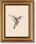 VIYYIEA Vintage Gold Framed Wall Art – Hummingbird Sketch, 8x10 IN | Cute yet by VIYYIEAART
