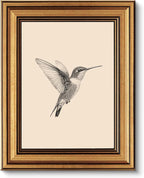 VIYYIEA Vintage Gold Framed Wall Art – Hummingbird Sketch, 8x10 IN | Cute yet by VIYYIEAART