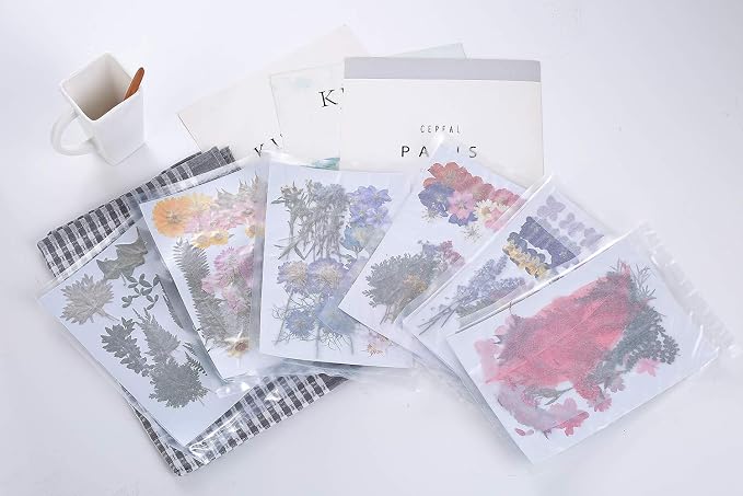 17 Types 48PCS Real Dried Pressed Flowers Leaf Plant Herbarium - Image 7