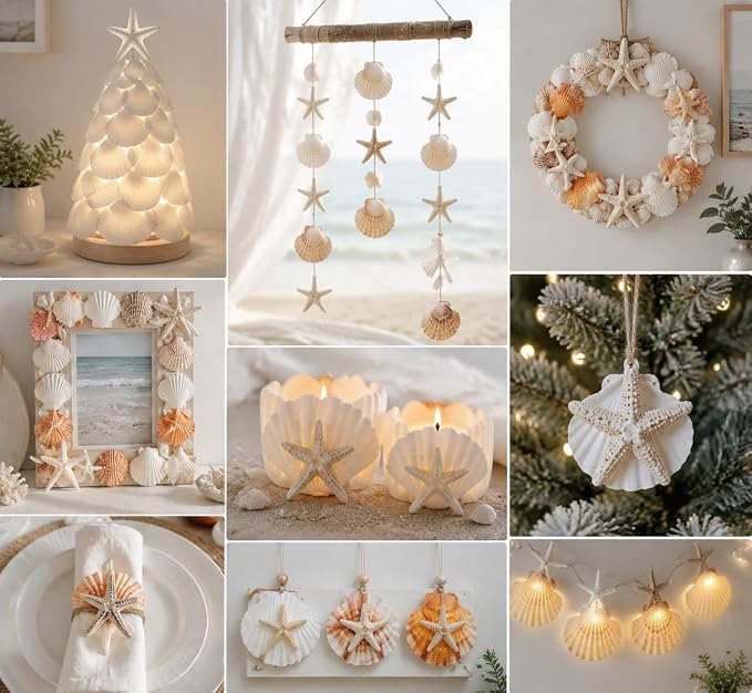 JSPYFITS 2.5-4 Inches Large Starfish and Scallop Shells - Image 4