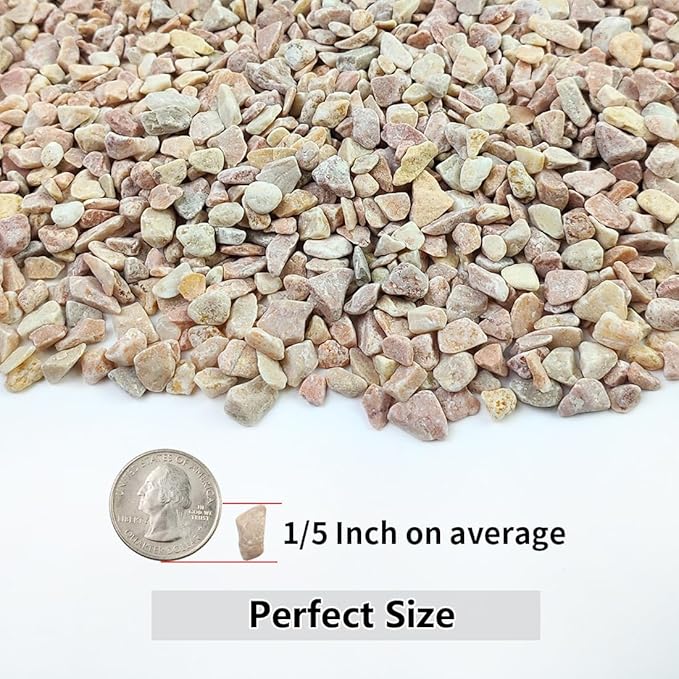 YISZM 10LB Succulent and Cactus Gravel Pebbles, 1/5 Inch Natural Decorative - Image 2
