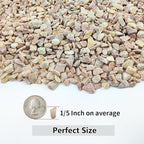 YISZM 10LB Succulent and Cactus Gravel Pebbles, 1/5 Inch Natural Decorative - Image 2