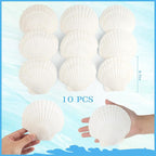 Jangostor 10 PCS Scallop Shells Natural Seashell, Fish Tank and Vase Filler - Image 2