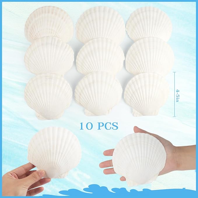 Jangostor 10 PCS Scallop Shells Natural Seashell, Fish Tank and Vase Filler - Image 2