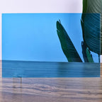 Colored Acrylic Sheets 8x12 – 10 Colors 10 Pcs, 1/8" Transparent Cast Acrylic - Image 8