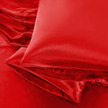 Aormenzy Satin Pillow Cases for Women Queen Size Set of 2, Fade Resistant by Aormenzy