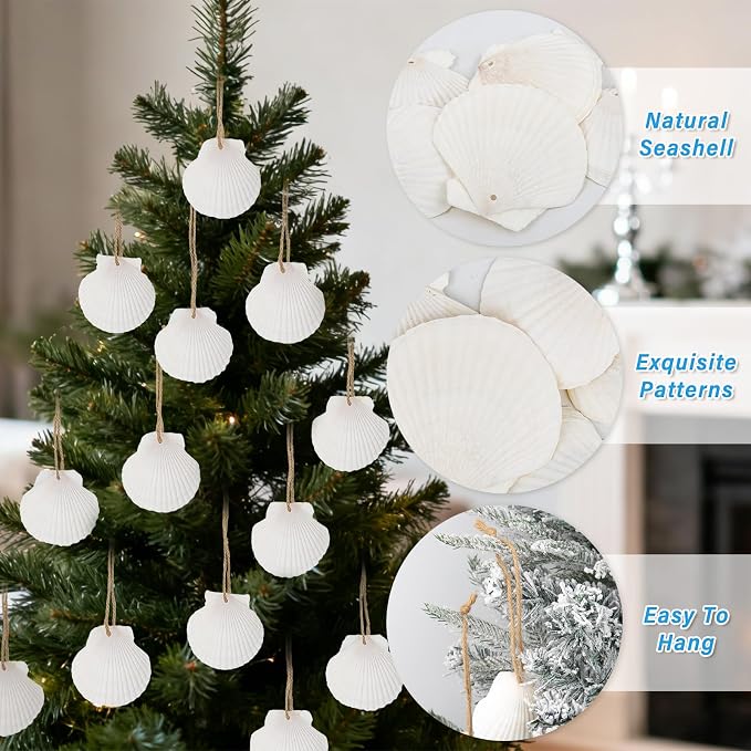 16PCS Natural Sea Shells 2.5"-3.5" Perforation Scallop Shells - Image 4