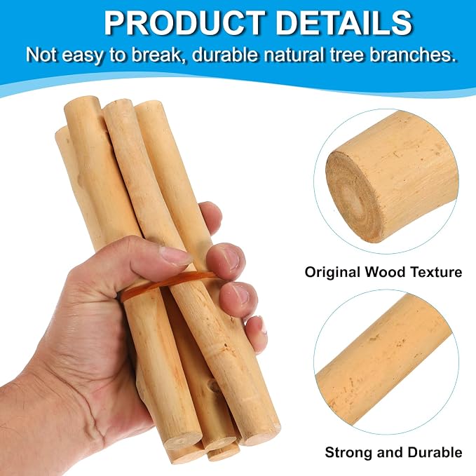 PATIKIL 4 Pcs / 10cm Wood Log Sticks, 0.6-1.2inch in Diameter Natural Driftwood - Image 3