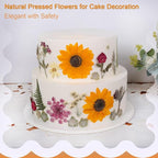 12“ Large Fall Dried Pressed Flowers - Image 5