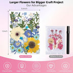 12“ Large Bulk Summer Dried Pressed Flowers - Image 2