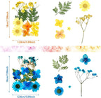 Nuanchu Dried Pressed Flowers for Crafts Resin Christmas Dried Flowers Bulk - Image 3