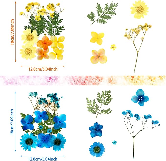 Nuanchu Dried Pressed Flowers for Crafts Resin Christmas Dried Flowers Bulk - Image 3
