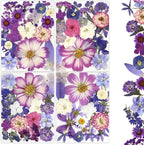 80Pcs Dried Pressed Flowers Purple, Real Natural Bulk Pressed Flowers by Buzidao