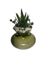 3 Pounds Natural Decorative Real Sand - Image 5