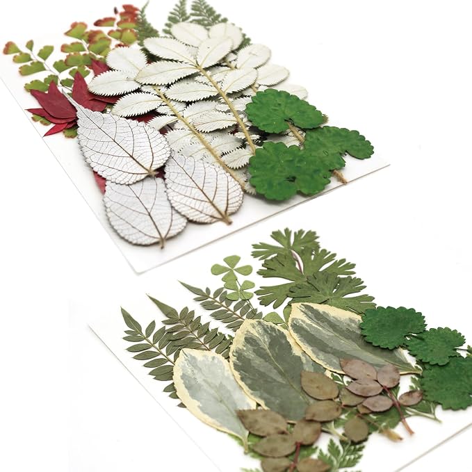 84 Pcs Dried Pressed Leaves Flowers Real Natural Dried Leaves Plant Kit - Image 6