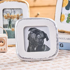 4x4 Picture Frame, Hand-Crafted Resin Dog Picture Frame - Image 2