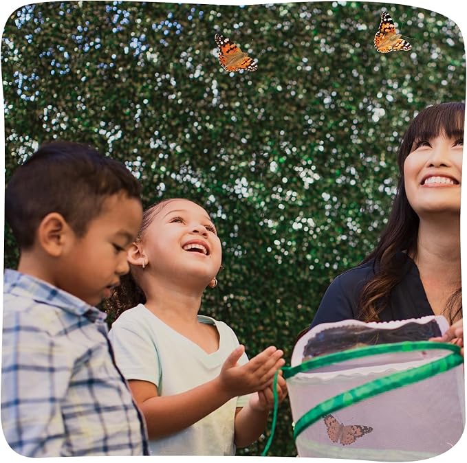 Insect Lore Raise and Release Butterfly Garden Kit – Caterpillar Habitat - Image 8