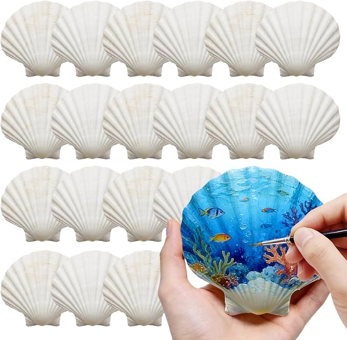 4-5 Inch Large Scallop Shells for Crafts, Ocean Themed Party Decor Supplies by DOODLEBEAN