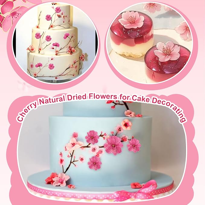 101 PCS Pressed Cherry Blossom for Crafts, Dried Sakura Flowers for Soap Candle - Image 4