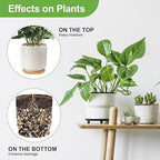 Pulovin 10 lbs Pebbles for Indoor Plants, 3/8" Plant Rocks for Pots Indoor - Image 3